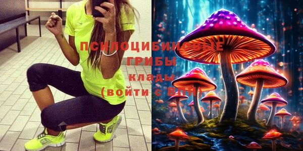 ECSTASY Алексеевка