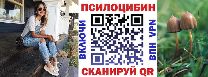 Галлюциногенные грибы Cubensis  сайты даркнета состав  Жиздра  ссылка на мегу вход 